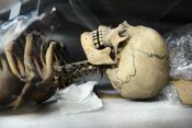 museum de histoire naturelle rouen 10-2021 0207-